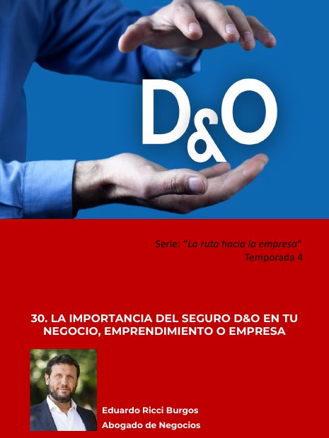 Portada de La importancia del seguro D&O